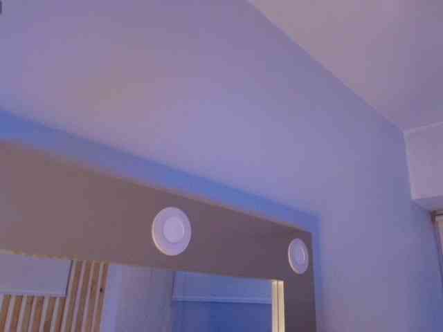Dakashyten webcam