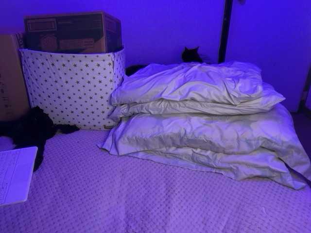 sofilasanta's BongaCams show and profile