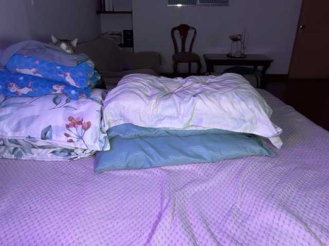 sofilasanta