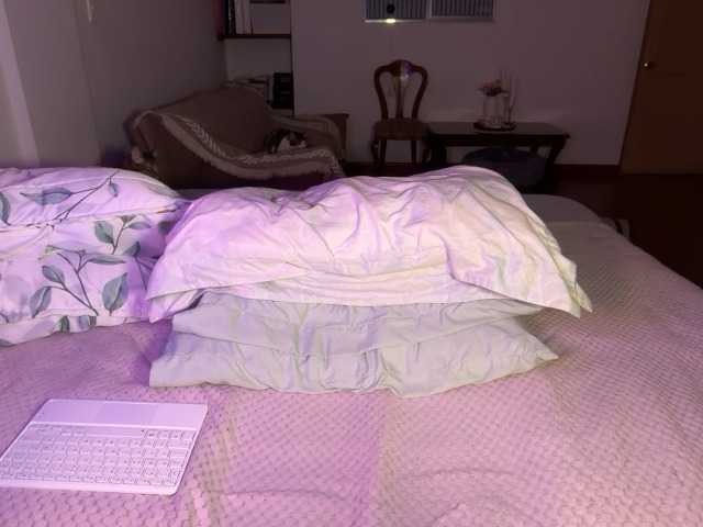 sofilasanta