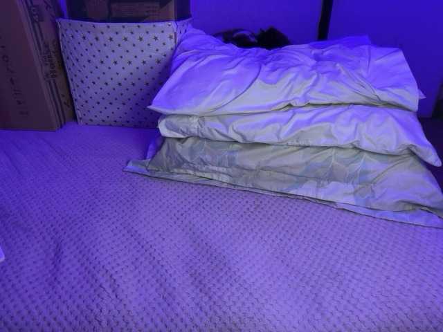 sofilasanta's BongaCams show and profile