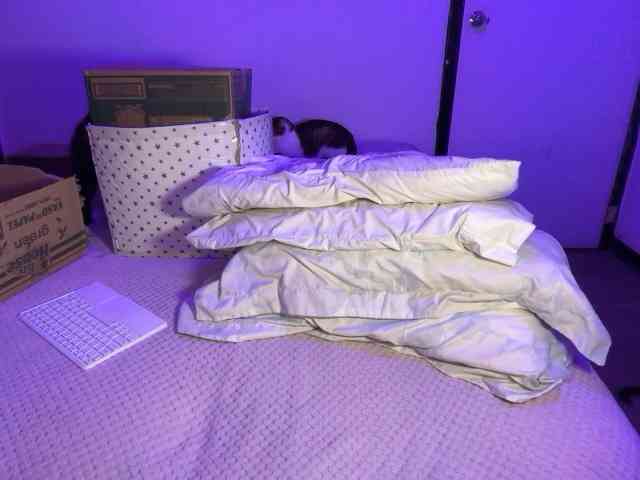 sofilasanta webcam