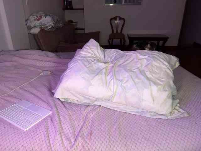 sofilasanta webcam