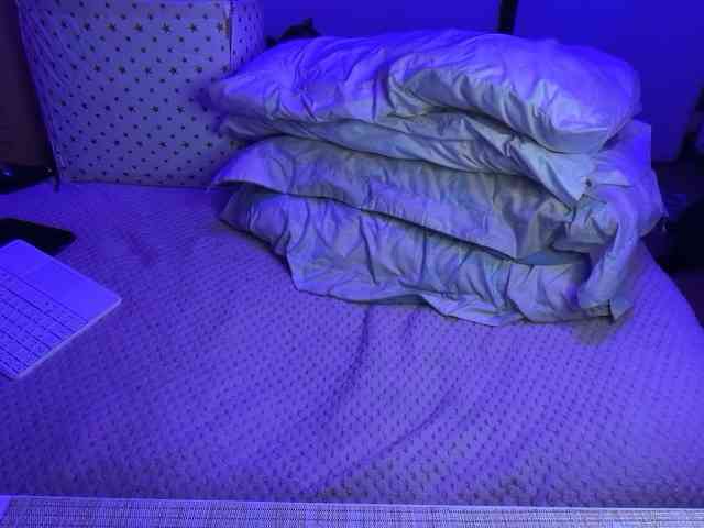 sofilasanta webcam