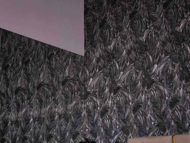 CamilaStarr's BongaCams show and profile