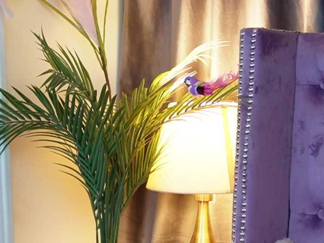 SaraiAngel live cam on BongaCams