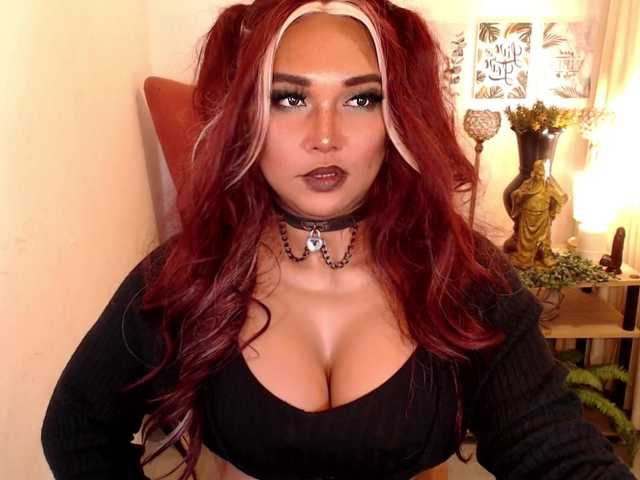 CuteyCumShasha — live trans cam