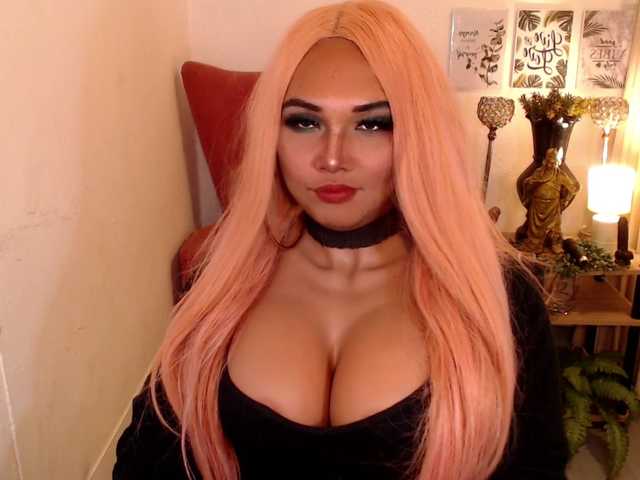 CuteyCumShasha