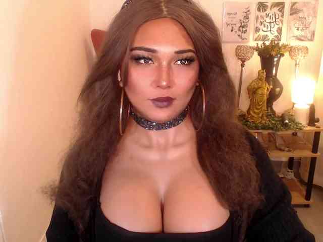 CuteyCumShasha Sex Cam Show
