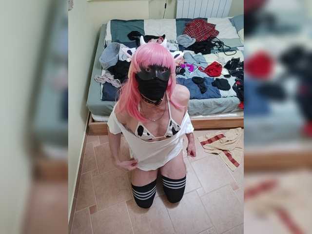 TransLucy