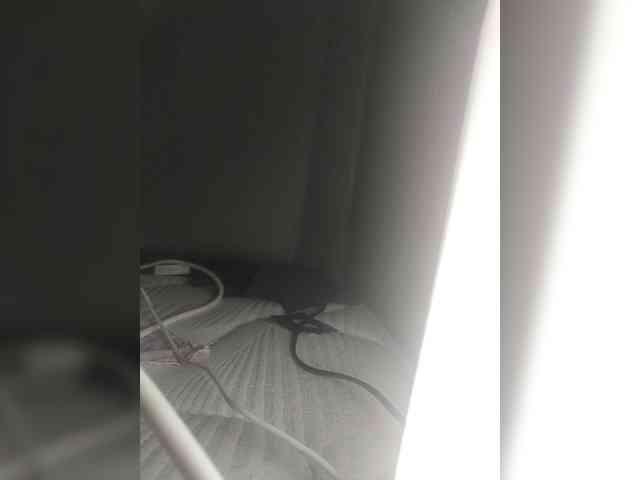 Shinmon