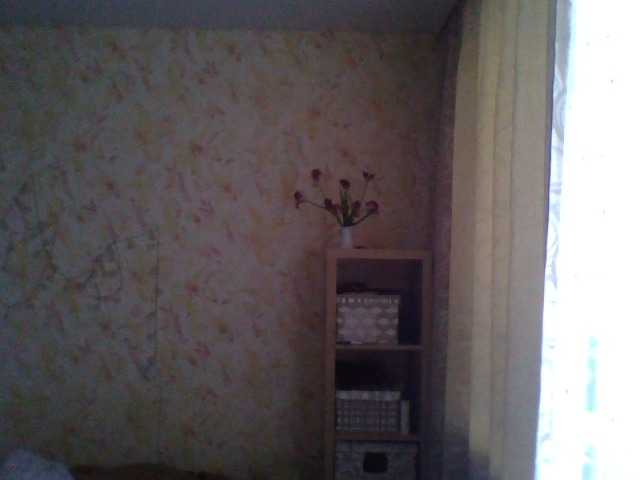  LUKONTA chat room