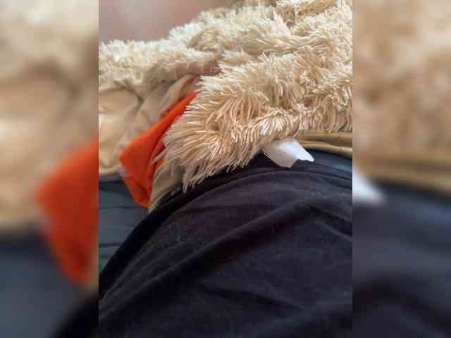 Kgdlh56T Live Webcam on BongaCams