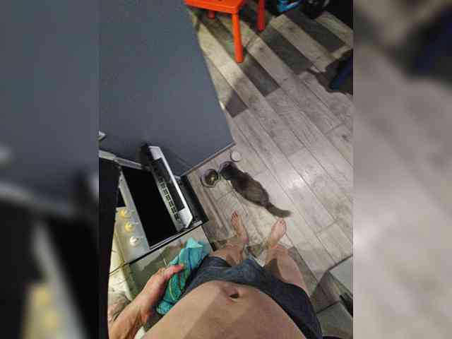 SashaJ8 Sex Cam Show