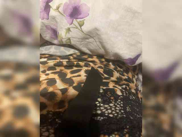 Kitii___ webcam