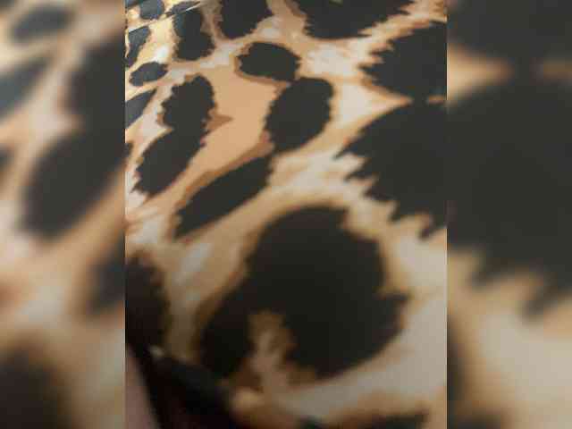 Kitii___ webcam