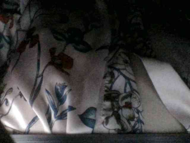Kitii___ webcam