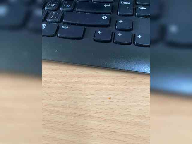 Kitii___ webcam