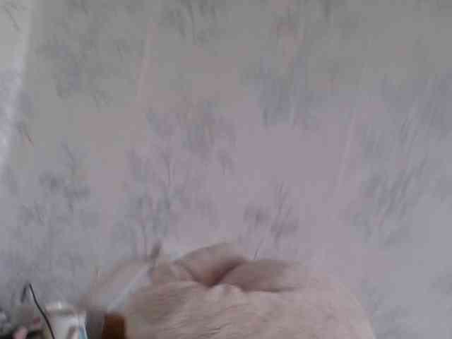 Bellka23 webcam