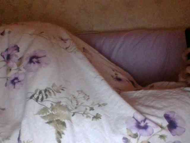 Kitii___ webcam