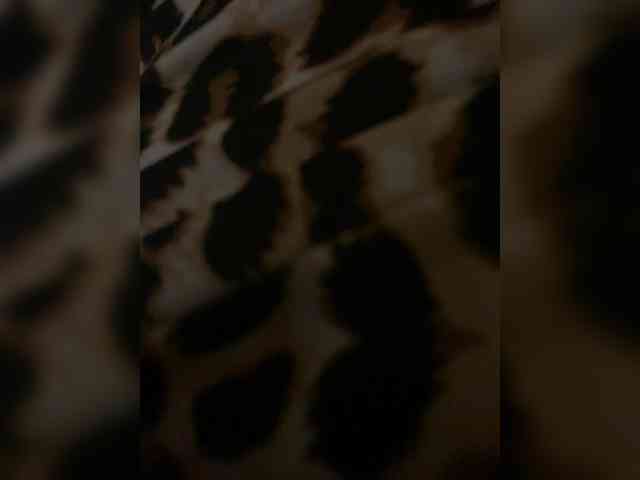 Kitii___ webcam