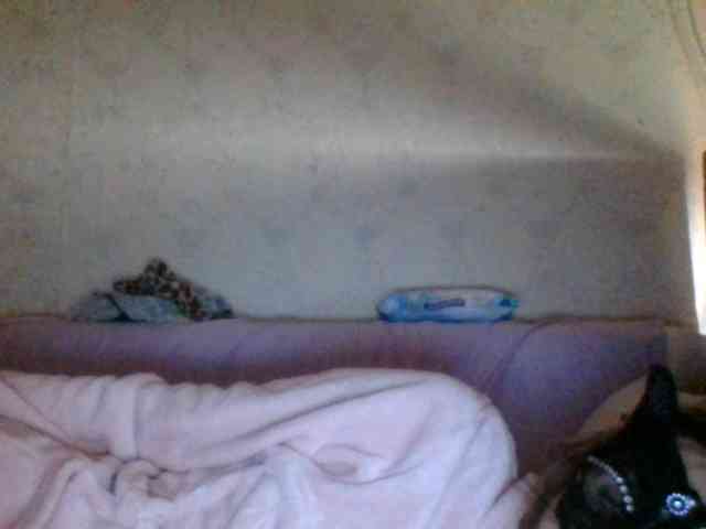 Kitii___ webcam