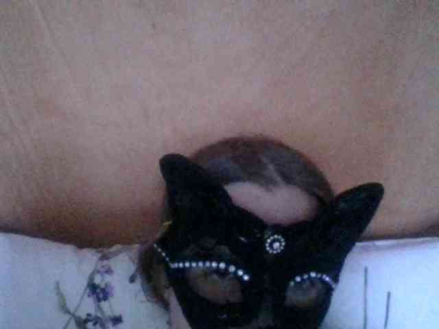 Kitii___ webcam