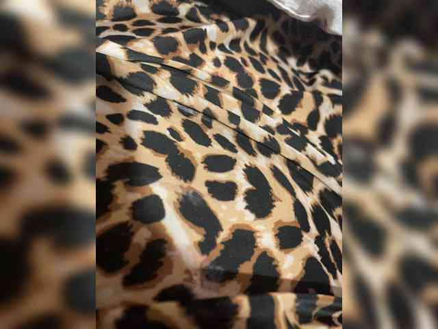 Kitii___