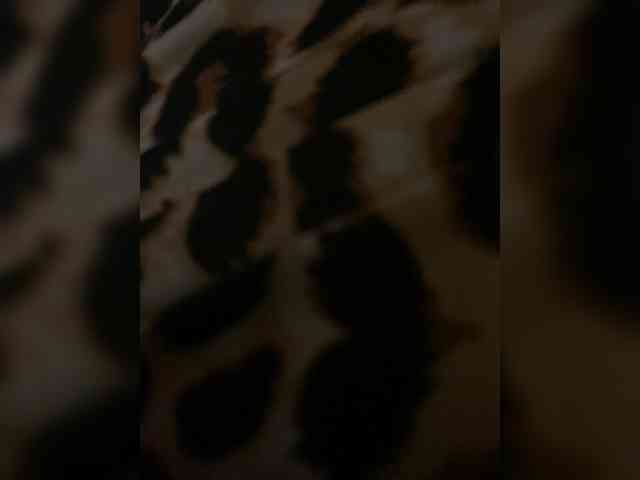 Kitii___ webcam