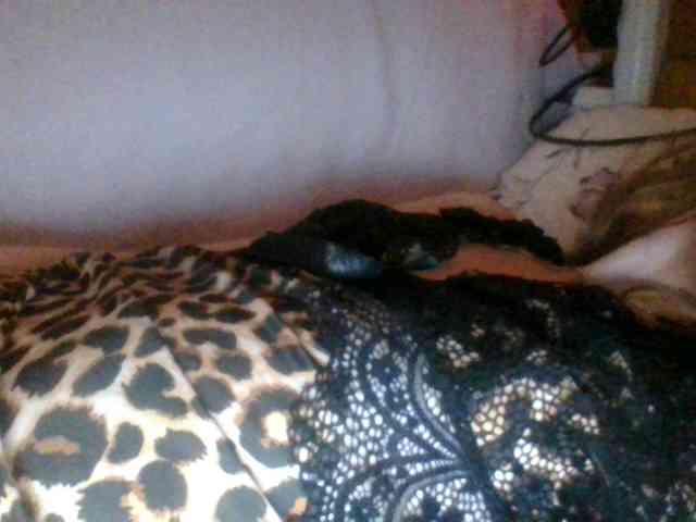Kitii___ webcam