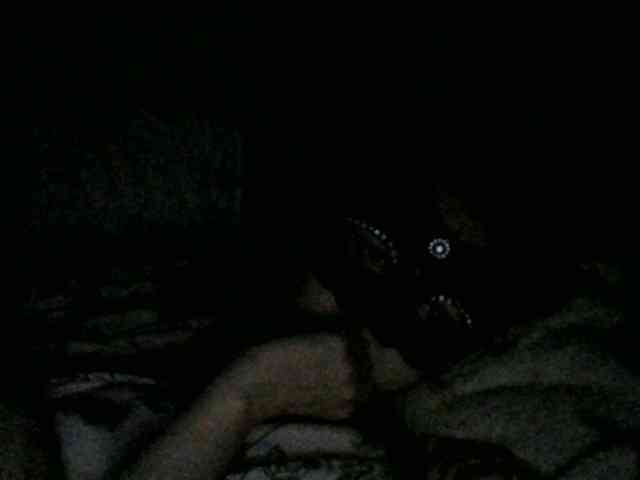 Kitii___ webcam