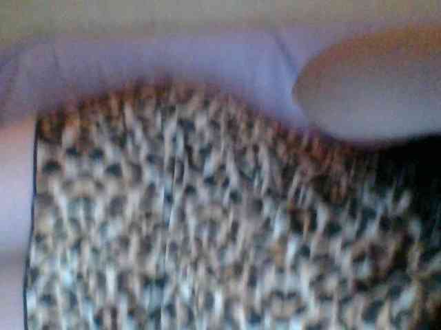 Kitii___ webcam