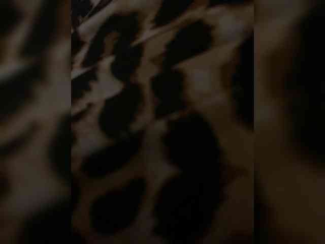Kitii___ webcam