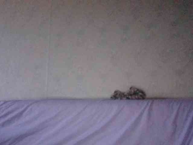 Kitii___ webcam
