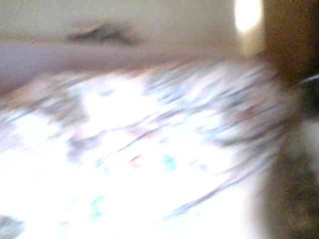 Kitii___ webcam