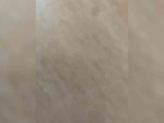 Kitii___ webcam
