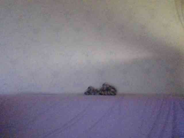 Kitii___ webcam
