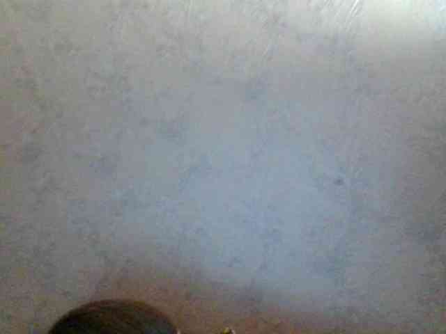 Kitii___ webcam