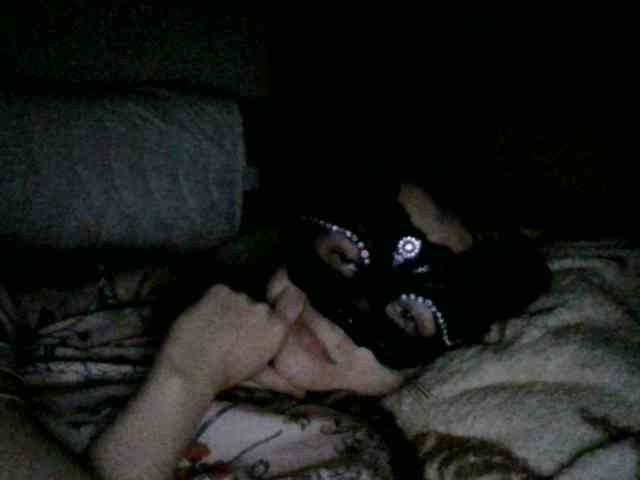 Kitii___ webcam