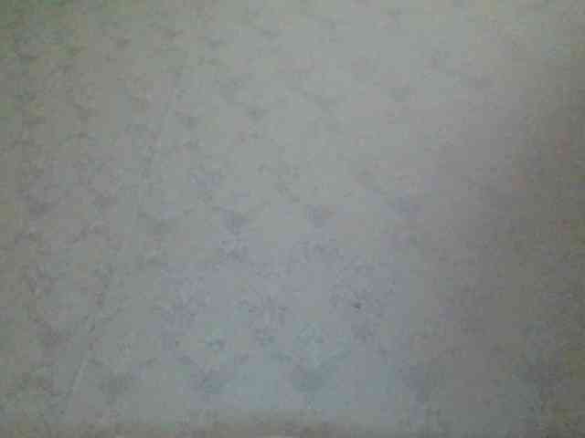 Kitii___ webcam