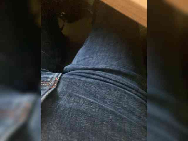 Kitii___ webcam