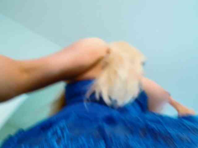 BarbiBentley BarbiBentley