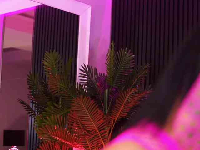 AishaaDevoe