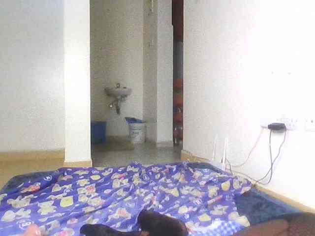 PetiteDesiree webcam