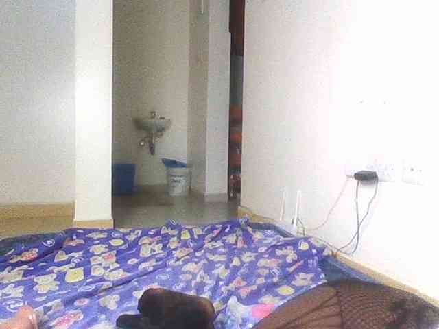 PetiteDesiree webcam