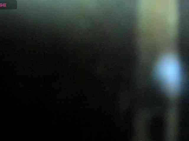 WildDuo_ webcam