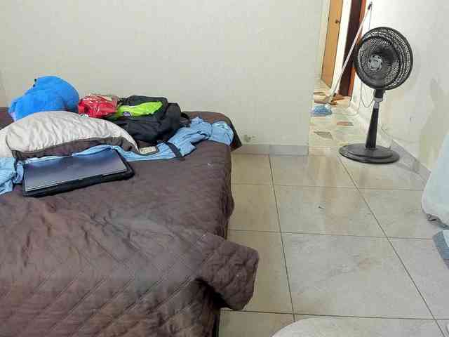 WildDuo_ webcam
