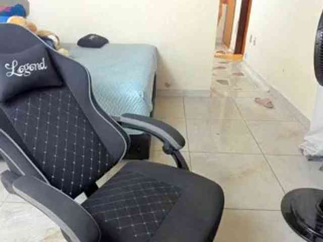 WildDuo_ webcam