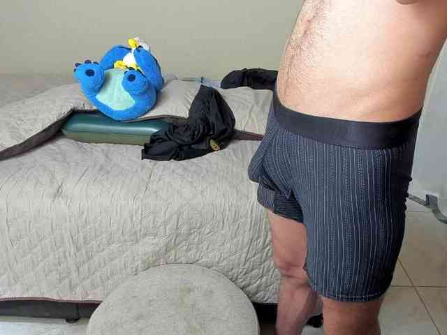WildDuo_ webcam