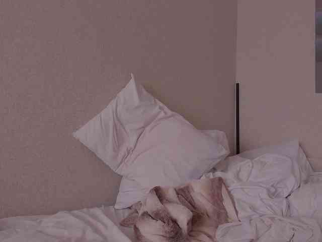 evapleasure Sex Cam Show